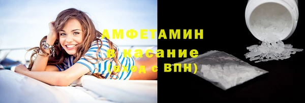 амф Верхний Тагил