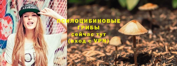 прущий лед Переславль-Залесский