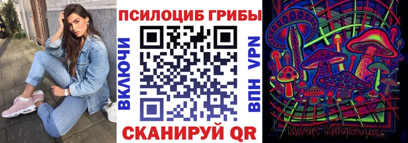 где найти   Белово  Галлюциногенные грибы MAGIC MUSHROOMS 