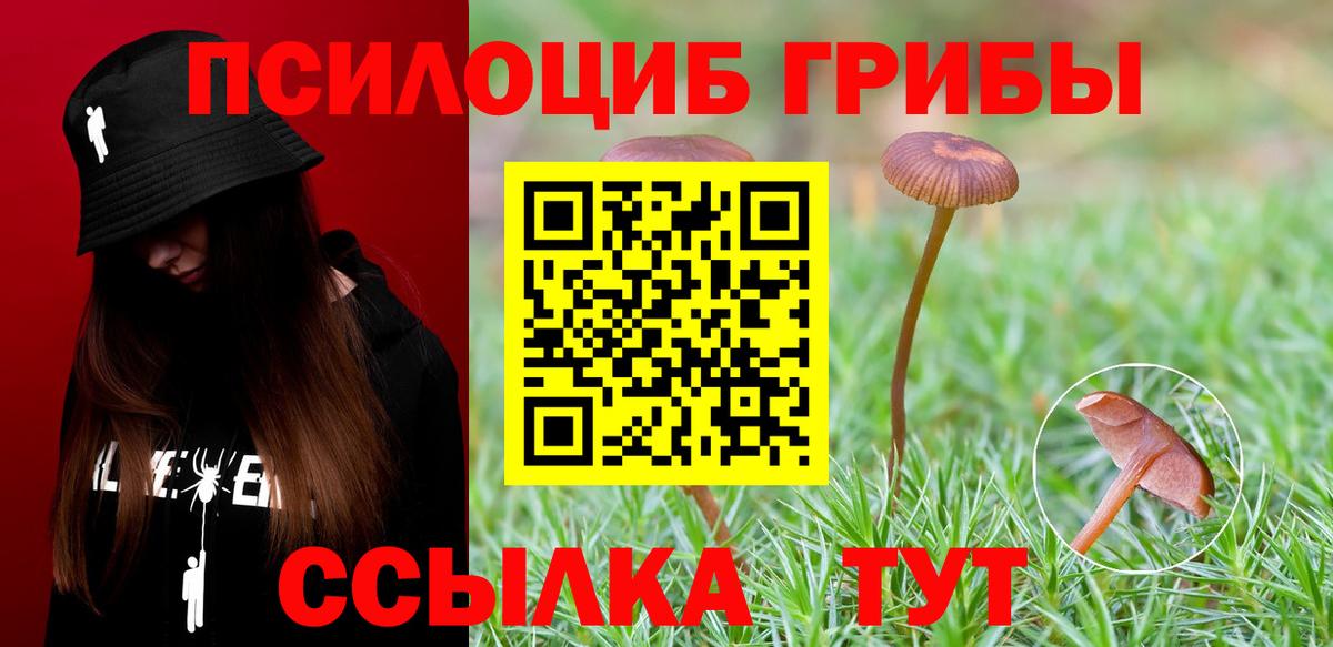 Псилоцибиновые грибы MAGIC MUSHROOMS Белово