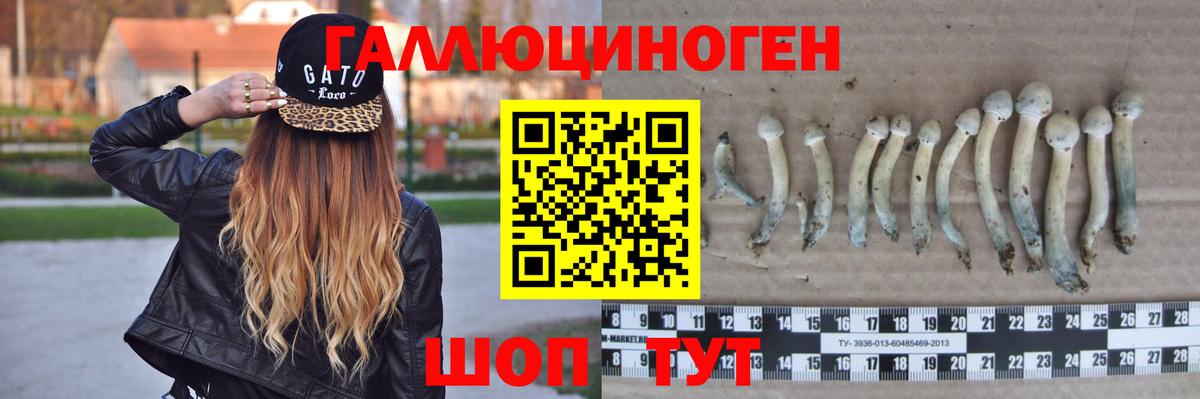 Белово  Галлюциногенные грибы MAGIC MUSHROOMS  Вход с VPN  Галлюциногенные грибы ЛСД 